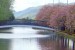 The cherry trees in Newry are loved by the local community and visitors to the area