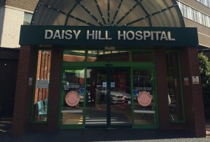 daisy hill 4