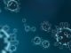 Coronavirus Covid19 Newry news
