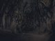 Game of Thrones Northern Ireland - Newry headlines