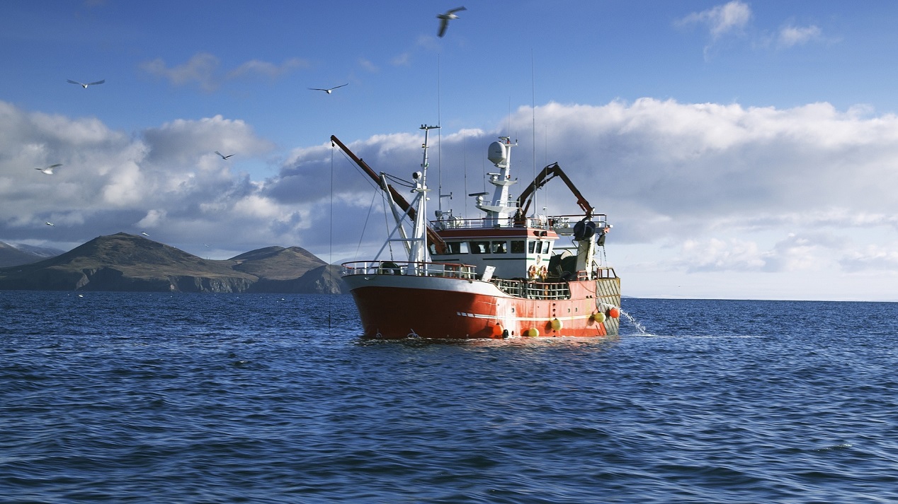 Poots seeks fair share of fishing quotas for NI fishermen - Newry Times - Newry News