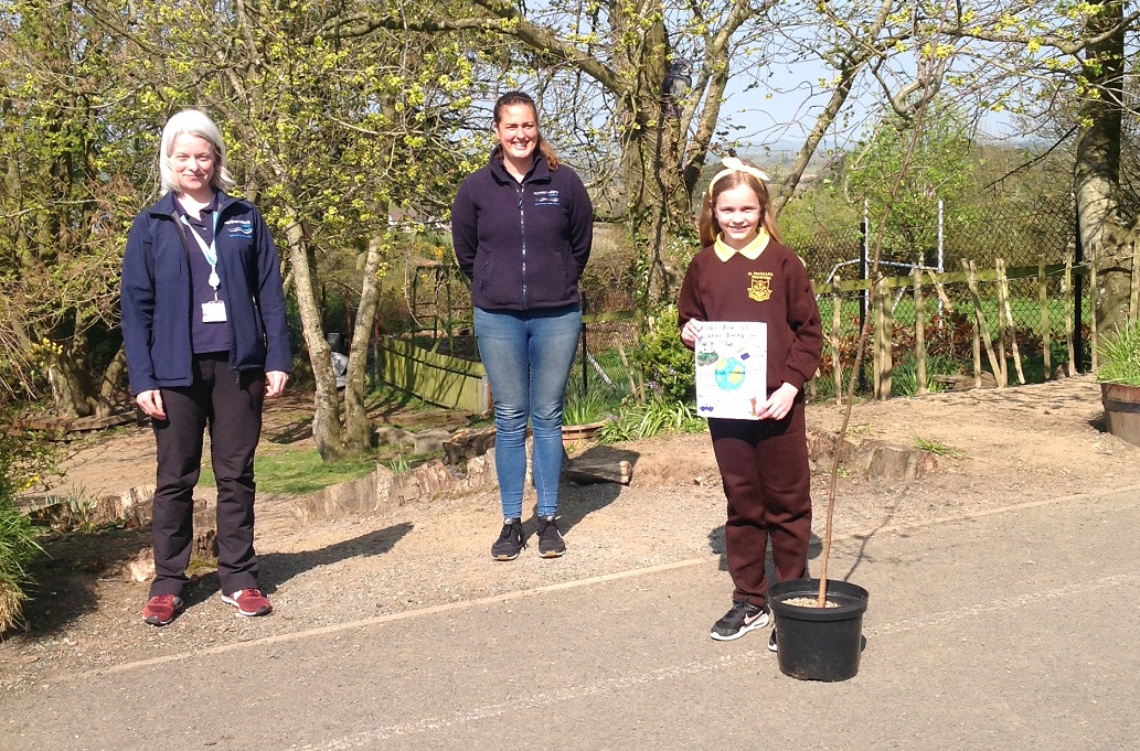 Young Environmental Champion at St Patrick’s PS, Mayobridge - Newry Times - News in Newry