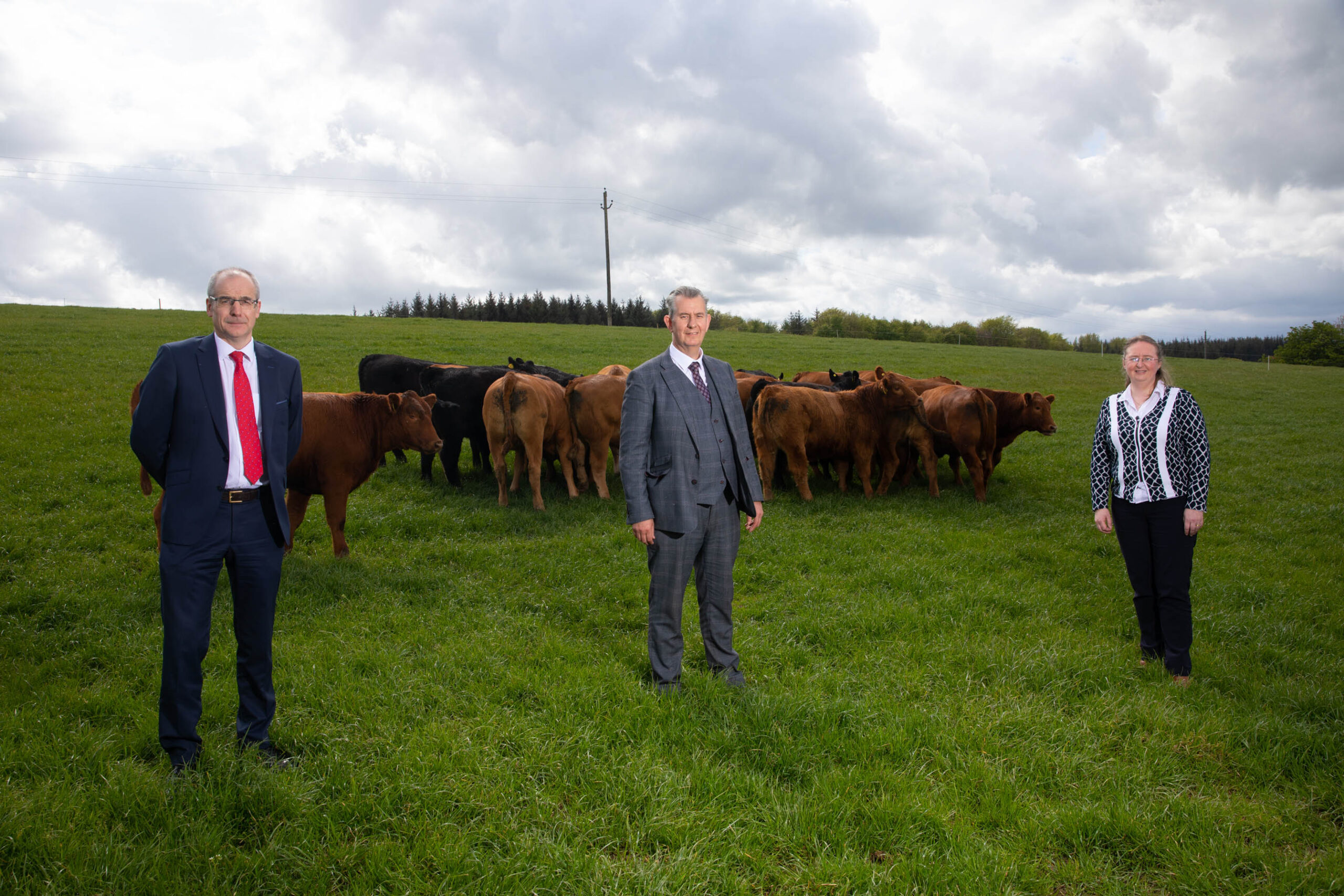 Poots announces £10m investment in development of new beef facilities - Newry Times - newry news