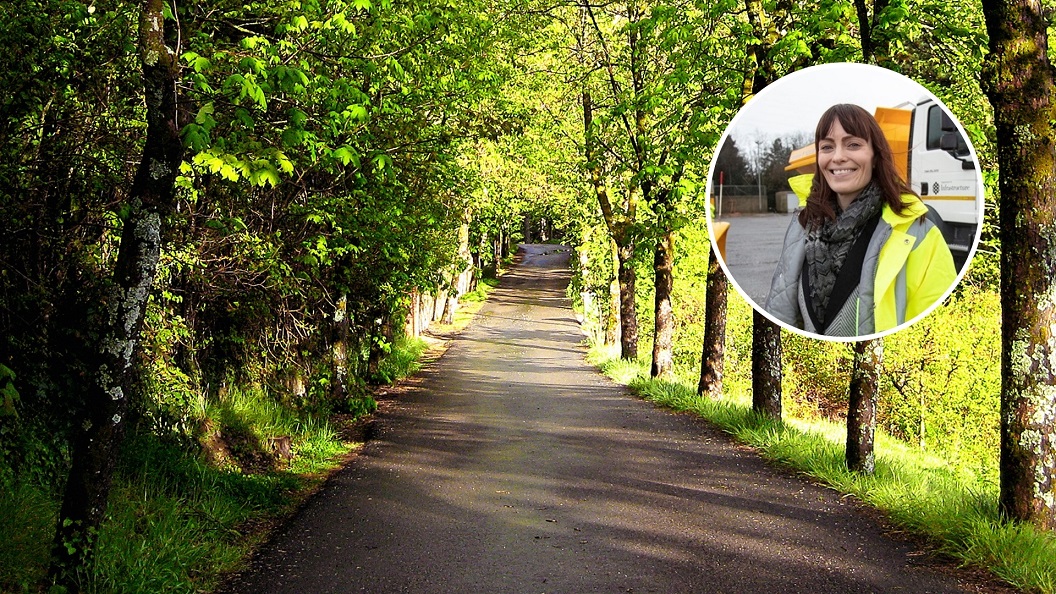 £2.5 million investment in Northern Ireland greenways announced - Newry Times - newry news today