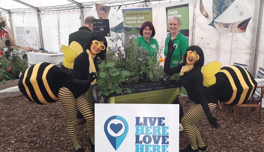 New £700,000 Pollinator Grants Scheme Announced - Newry Times - newry newspapers