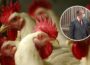 Avian Influenza Prevention Zone introduced in GB - Newry Times - newry news today