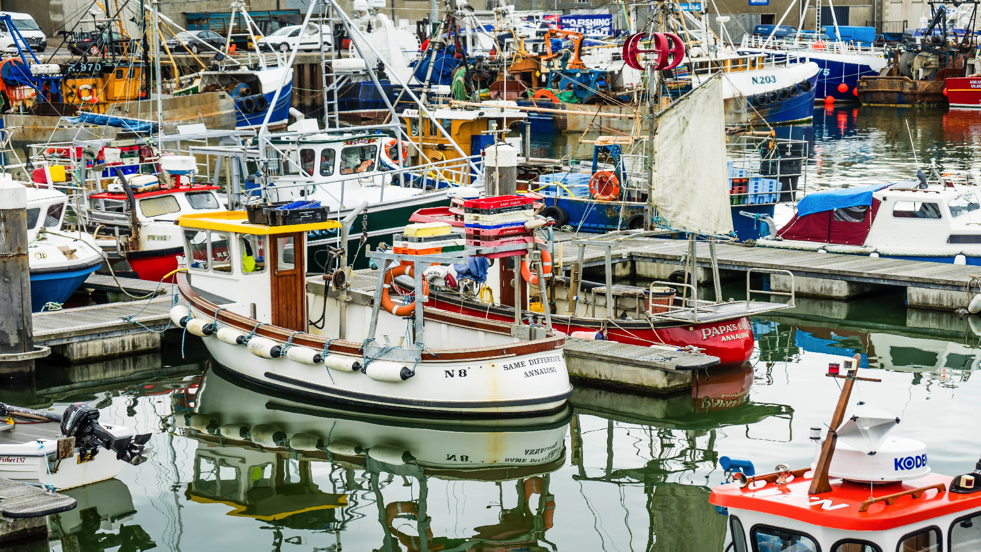 SRC to deliver a new and exciting job finding programme in Kilkeel Harbour | Newry Times - Newry news