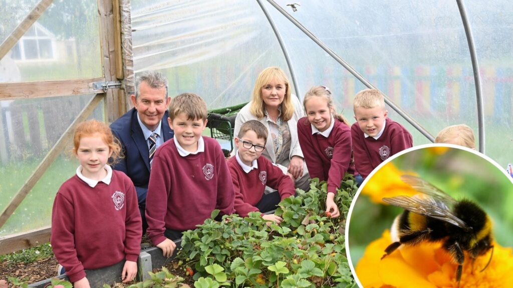 301 schools benefit from £2.2m School Pollinator Garden Scheme | Newry Times - newry news now