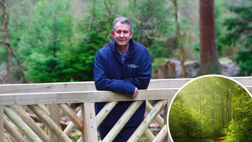 Minister reopens NI Forestry Grant Schemes for 2022 | Newry Times - news newry northern ireland