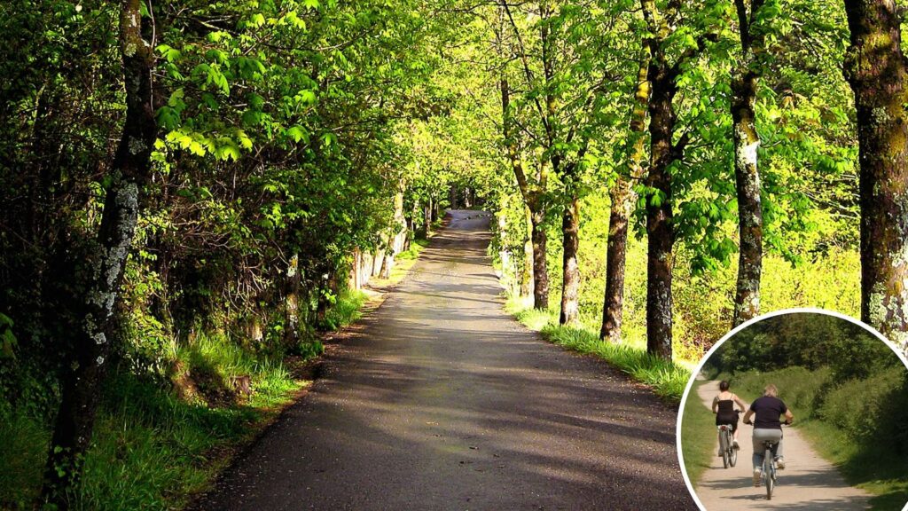 O’Dowd announces further delivery support for Councils on Greenways | News in Newry - newry news facebook