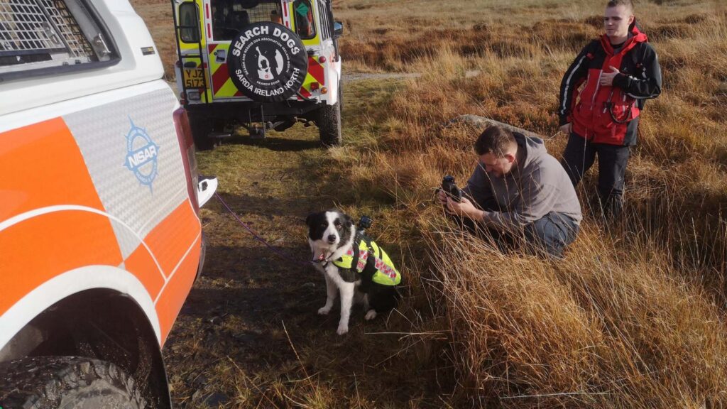 Take a ‘paws’ for ‘Dogs with Jobs’ - a new UTV series | Newry News - newry times news