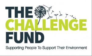 challenge fund1