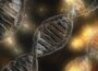 DNA fingerprints - News Newry