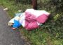 Slieve Gullion dumping on Cloughinnea Road - Newry newspaper - Newry Times