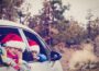 Be prepared for festive travel, advises The Consumer Council - Newry news