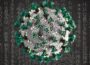 "DEARA failure to bid for extra funding is astounding" - Slieve Gullion Councillor | Newry Times -Coronavirus Covid19 Newry news