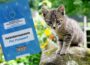 Poots reiterates call for Common Travel Area for pets - Newry Times - Brexit pet travel