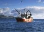 Poots seeks fair share of fishing quotas for NI fishermen - Newry Times - Newry News