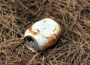 Poots considers money-back scheme on drinks bottles to tackle litter - Newry facebook