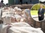 £1.2M Covid-19 support scheme for sheep farmers - Newry Times - newry news now