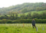 Charity set to reshape conservation sector with plastic free planting pledge - Newry Times - newry newspaper