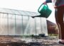 Minister urges public to use their water wisely - Newry Times - newry news