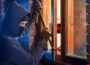 Newry burglaries, Police appeal for information after four homes targeted - Newry Times - newry news