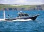 Public warned not to disturb marine wildlife - Newry Times - local news newry