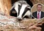 'Brutal cull of badgers should not be allowed to proceed' - Newry MLA - Newry Times - county down newspaper
