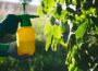 NI Water Urges Public to Use Pesticides Responsibly - Newry Times - newry news headlines