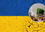 Ministers discuss impacts of ongoing Ukraine crisis on NI Food Supply | Newry Times - breaking news newry