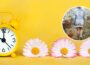 The clocks go forward this weekend - Spring forward to better health | Newry Times todays news in newry