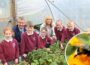 301 schools benefit from £2.2m School Pollinator Garden Scheme | Newry Times - newry news now