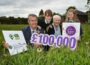 Bumblebees and butterflies set to benefit from £100,000 pollinator garden | Newry Times - newry news now