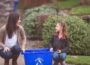 Recycling poll reveals convenience is key to Newry Mourne and Down residents | News in Newry - newry news now