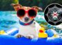 Police encourage public to travel safely this summer | News in Newry - newry police news