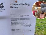 Derramore Forest Staff Appeal To ‘Irresponsible Dog Owners’ | Newry News - newry times news