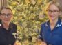 Southern Area Hospice Invites You to “Light Up a Life” This Christmas | Newry News - latest news newry